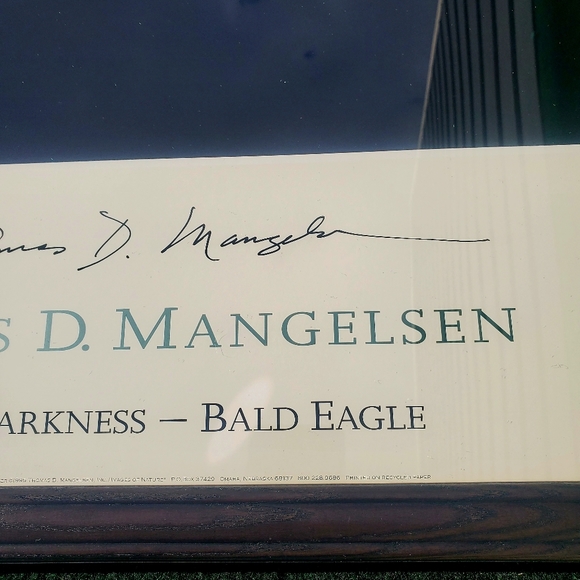Thomas D. Mangelsen Out Of Darkness Bald Eagle Signed Framed Print Art 34"x28" - Picture 8 of 16
